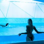 Damianii Luxury Boutique & 5*