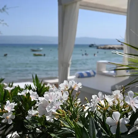Damianii Luxury Boutique & Omis